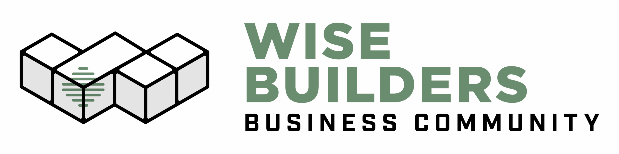 Wise Builders Logo Color-03